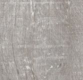 AGATHIS - 20x120cm Ep. 10mm - Rtt - Grigio