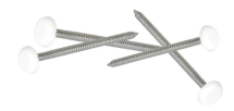 CLOU INOX EMBOUT PLASTIQUE LONGUEUR 65MM BLANC - CI65B