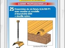 Vis bois autoperceuse 1000T Têtalu H13 Rouge Tuile RAL 8012 - long. 100mm x diam. 6,3mm - Blister 25
