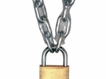 QUEUE DE MORUE BATIMENT M.BOIS 50