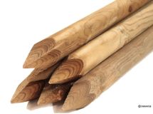 Piquets épointés chanfreinés cl.4 diam 60 mm - 2,00 m