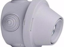 QUEUE DE MORUE BATIMENT M.BOIS 65