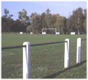 JAMBE DE FORCE 8X8X250 POUR POTEAU DE 250/300