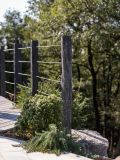 PIQUET SCHISTE 6-10 Lg 1.00m SCIE