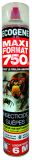 AEROSOL INSECTICIDE GUEPES FRELONS LP 750 ML -TP18-