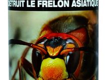 AEROSOL INSECTICIDE GUEPES FRELONS LP 750 ML -TP18-