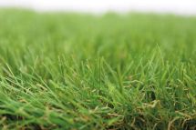 GAZON SYNTHETIQUE BASIC GREEN STD 35mm 2x25ml