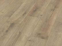 MEISTER STRAT CHENE FISSURE TERRA 6439 LD150