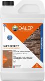 Protecteur Effet Mouillé WET EFFECT - Bidon 1 L
