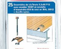 Vis panne acier autoperceuse 1000T Têtalu H13 Rouge Tuile RAL 8012 - long. 80mm x diam. 5,5mm - Blister 25