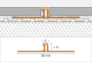 dilex bws_bpleu_r.jpg