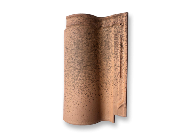 TGCS_.png