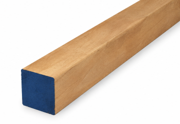 Lambourde exo 70x70 (3).png