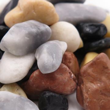 zoom multicouleur.jpg