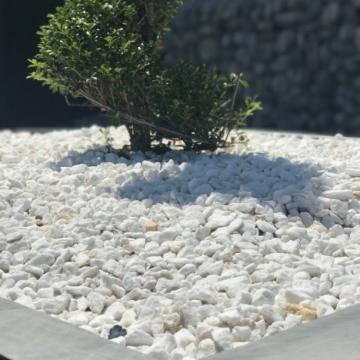 blanc premium mise en situation.jpg