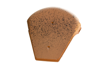 Q83CS.png