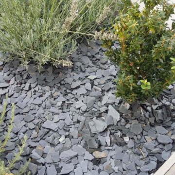 mise en situation.jpg