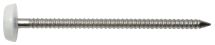 POINTE INOX A4 T. PLASTIQUE BLANC 2,0 X 30 mm - P/250
