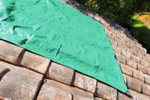 BROSSE RADIATEUR COUDEE/PLAT 25