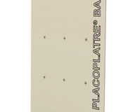 Plaque de plâtre Placoplatre® BA13 NF - long. 2,00m x larg. 1,20m