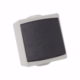 APPAREILLAGE EN SAILLIE ETANCHE IP65 BOUTON POUSSOIR GRIS GAMME PERLE