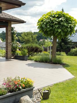 Lame terrasse Majestic 140X20 4.00 chêne champêtre 519 Dum Gabriela Partysova-03-Majestic 519.jpg